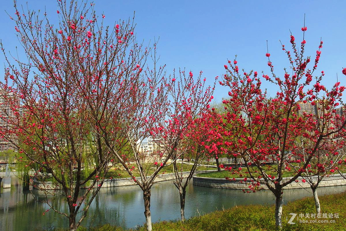 EX2F-『繁华似锦』123...11P