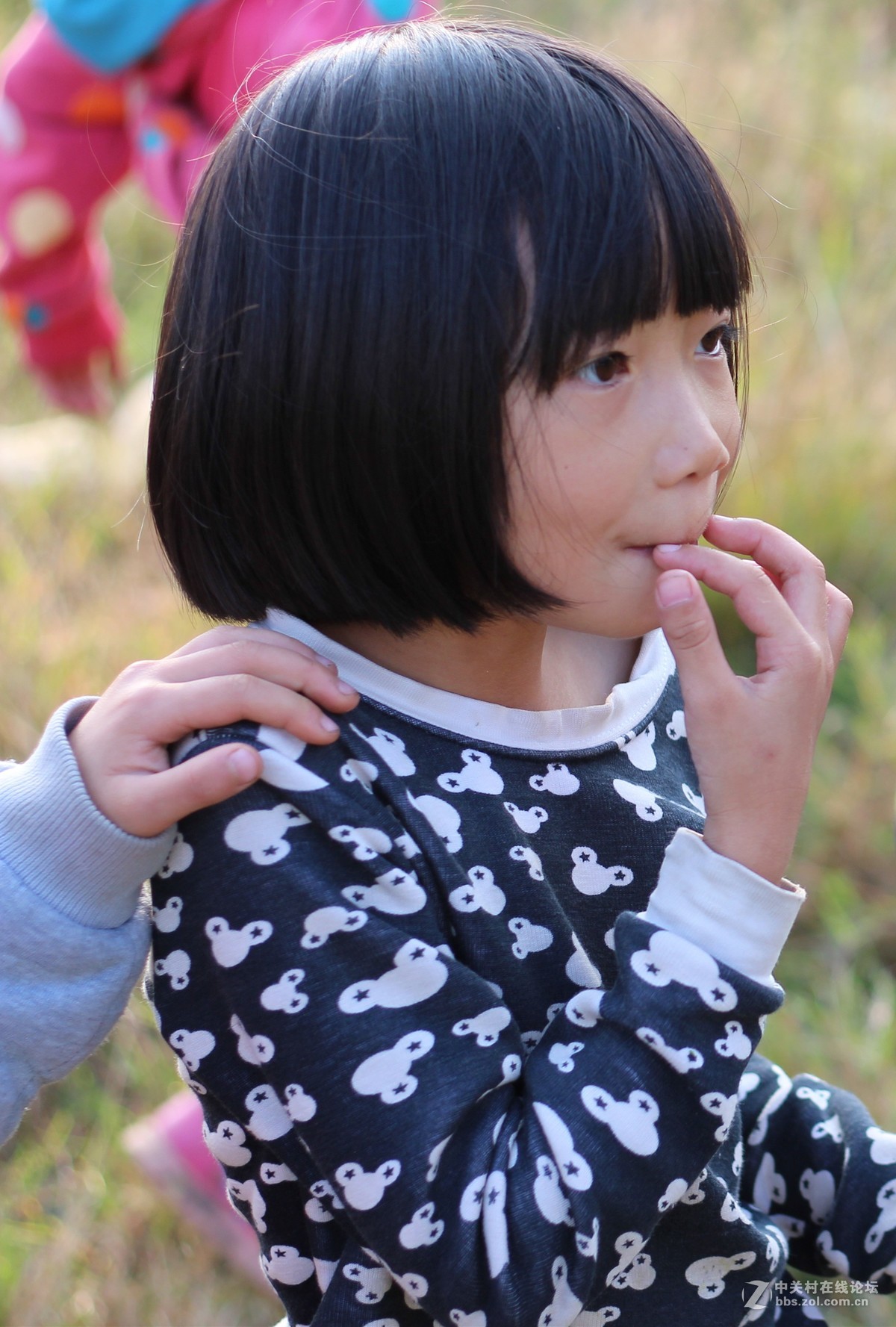 新手拍的，望多拍砖。