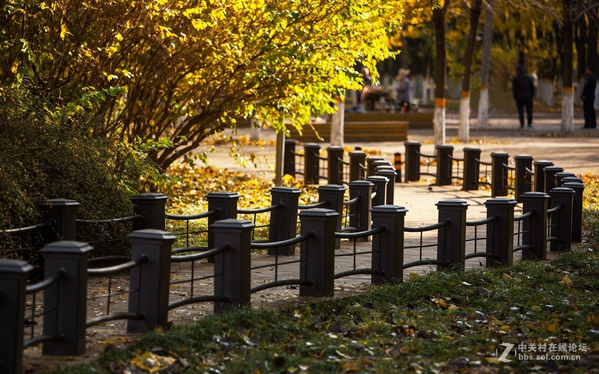 深秋的北京将府公园2