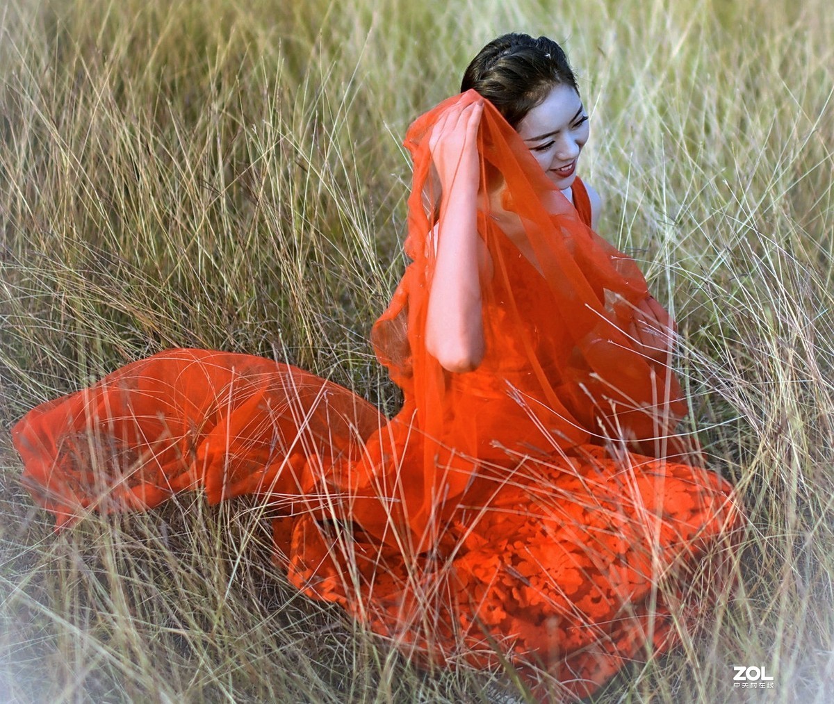 芦苇荡里拍美女