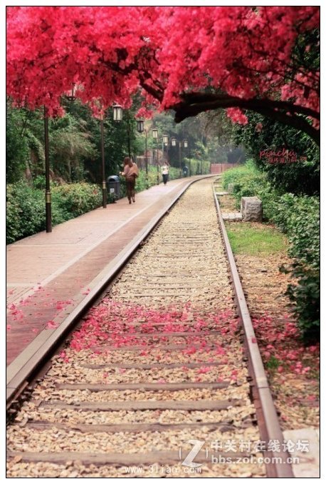 厦门铁路公园沿线漫步行走