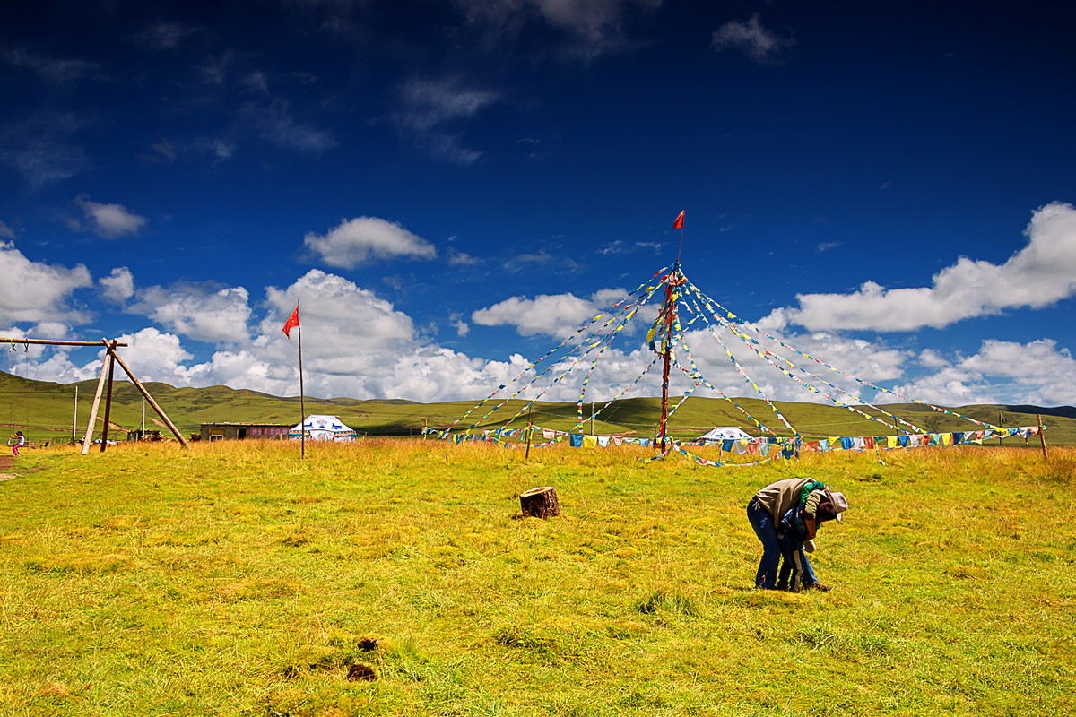 川西风光  《若尔盖大草原》