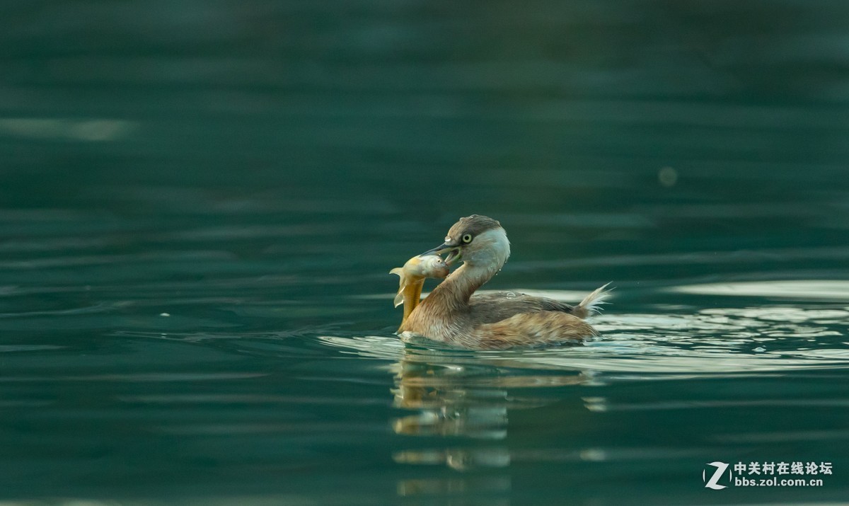 2015年优秀作品精选