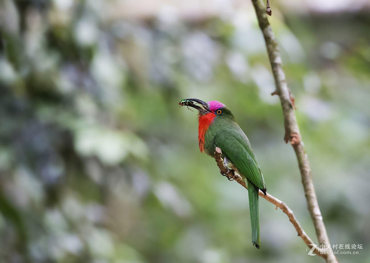 2015年优秀作品精选