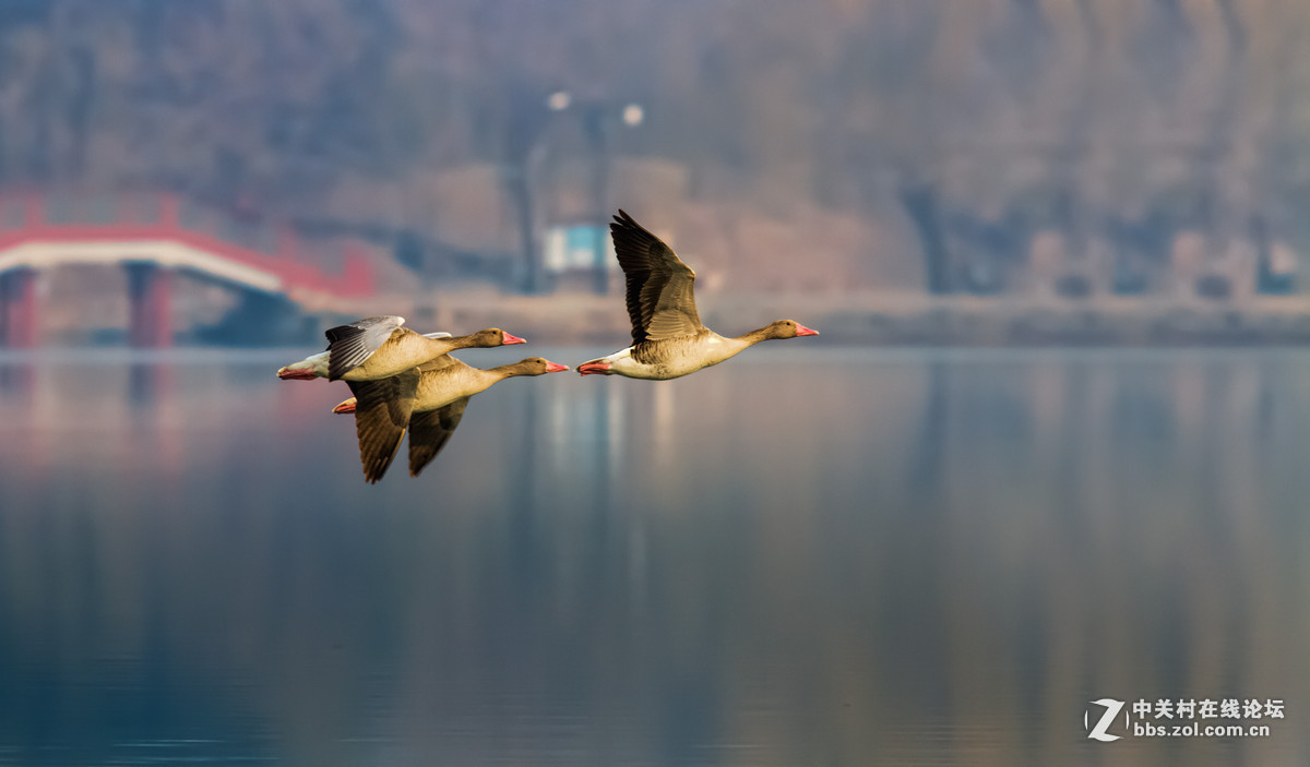 2015年优秀作品精选