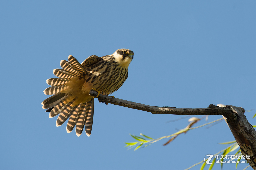 2015年优秀作品精选