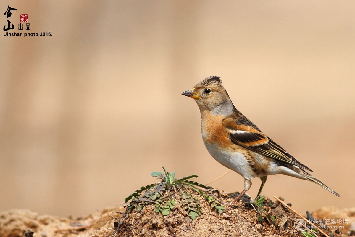 2015年优秀作品精选