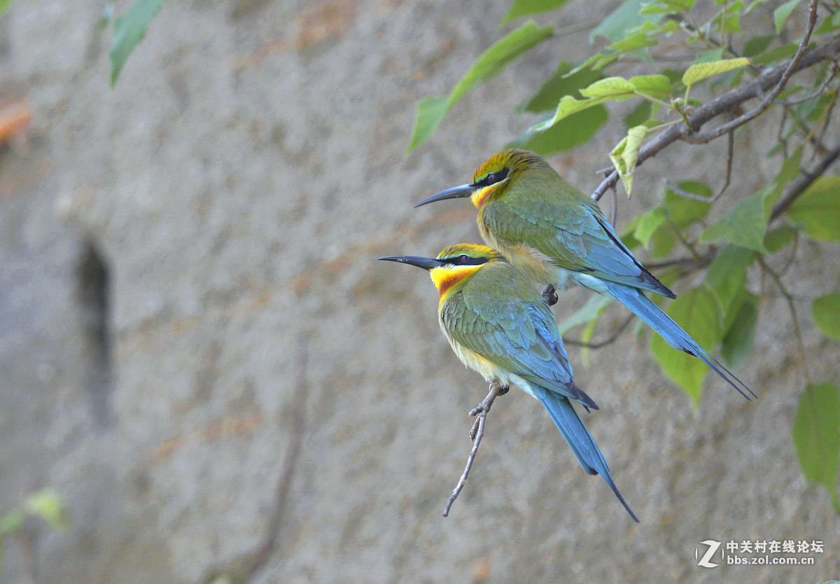 2015年优秀作品精选