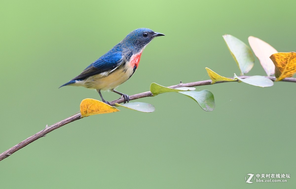 2015年优秀作品精选
