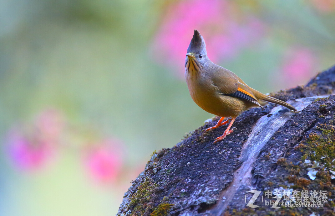 2015年优秀作品精选