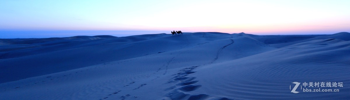 又爱又恨的大沙漠