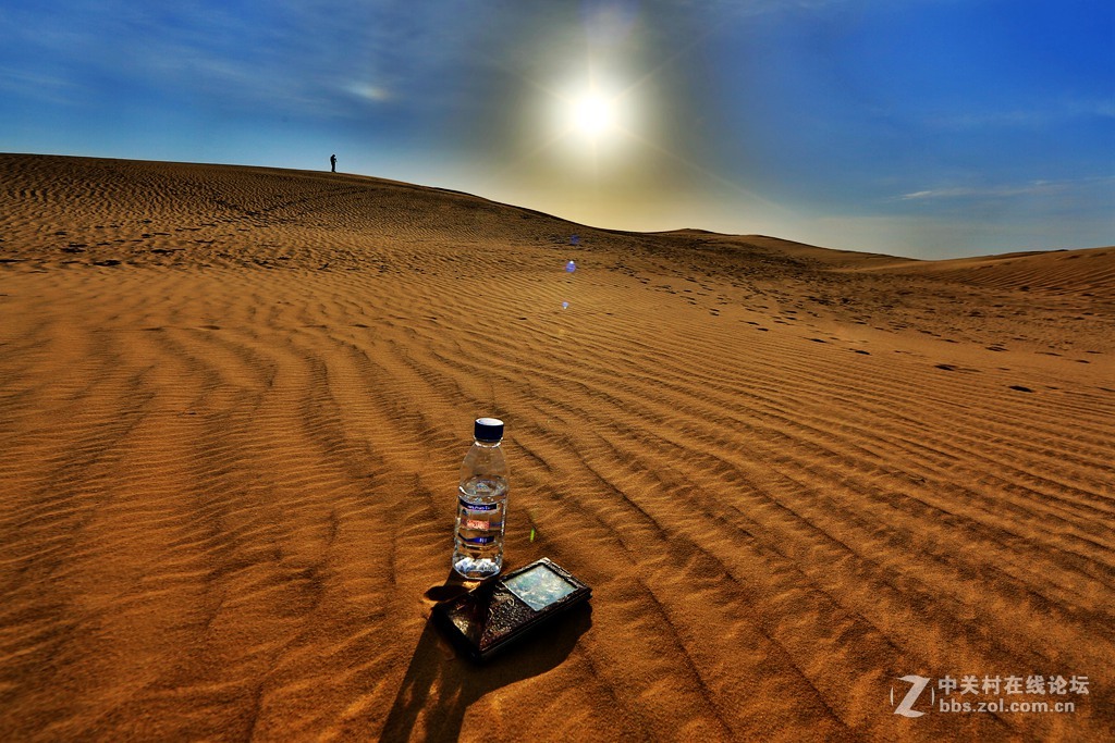 又爱又恨的大沙漠