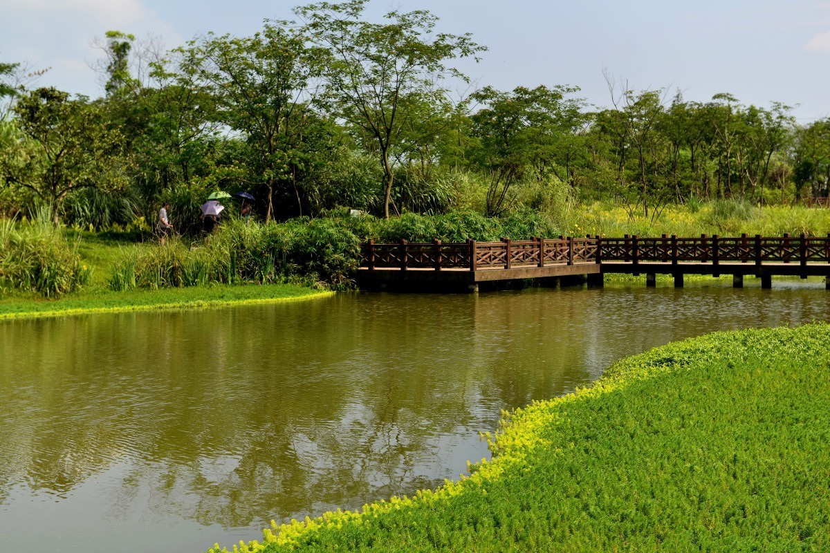 榿木河溼地公園3