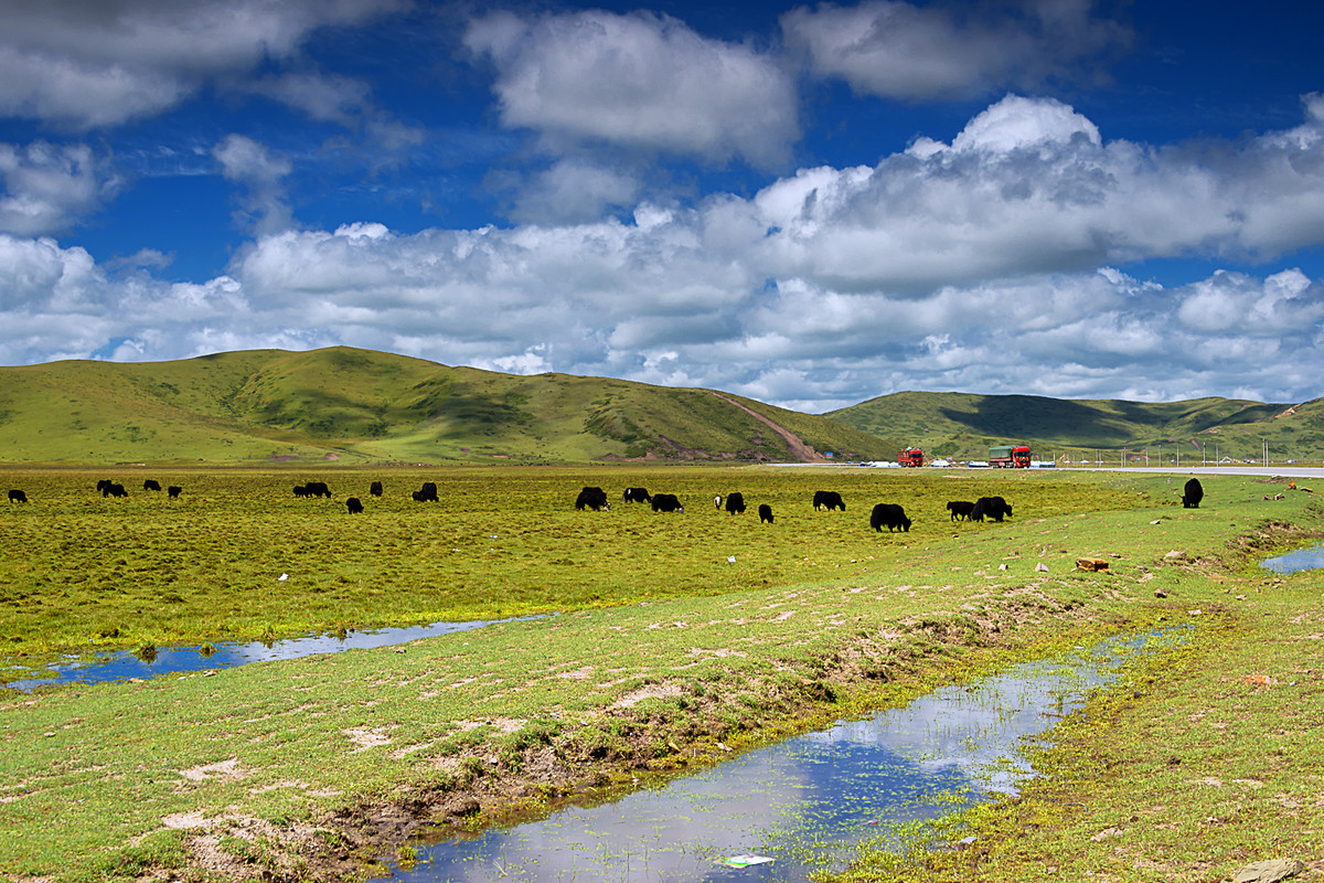 川西风光  《若尔盖大草原》