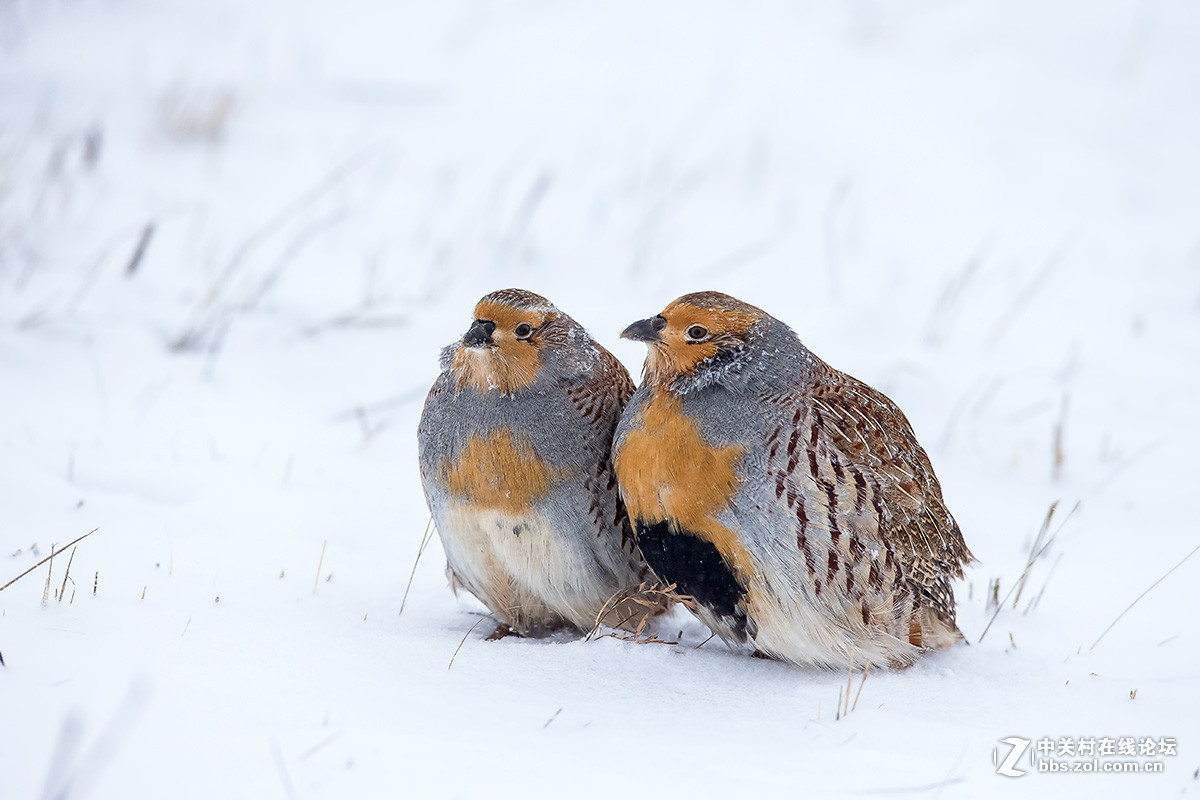 2015年优秀作品精选