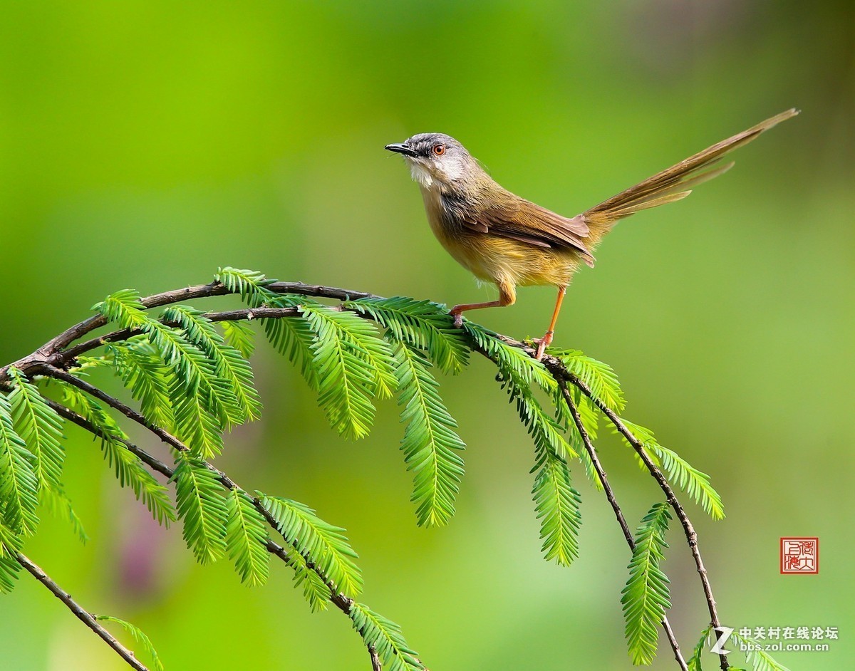 2015年优秀作品精选