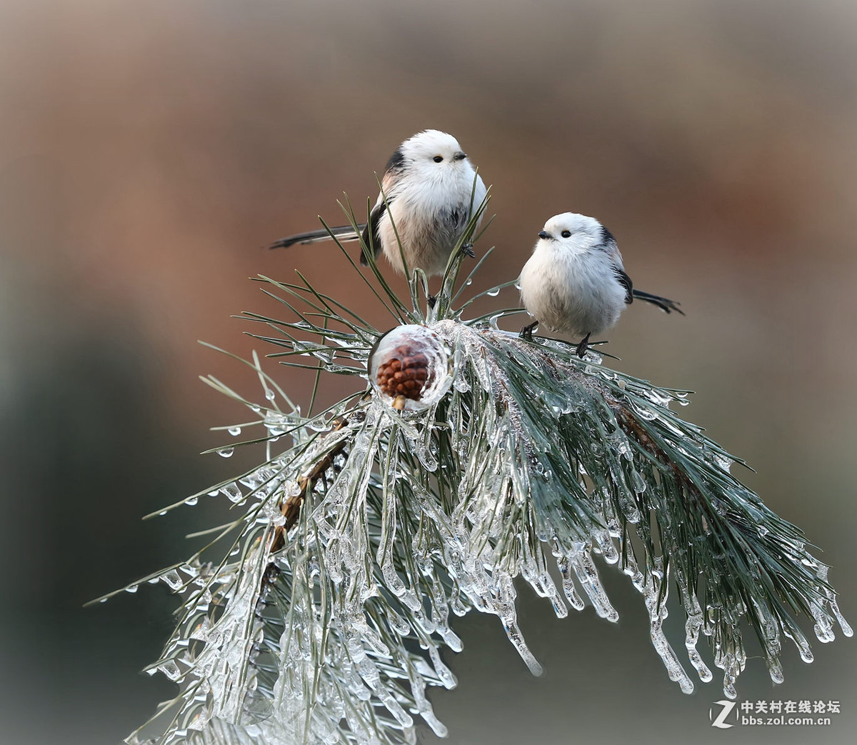 2015年优秀作品精选