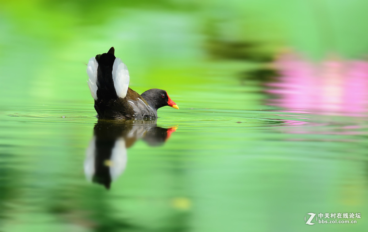 2015年优秀作品精选