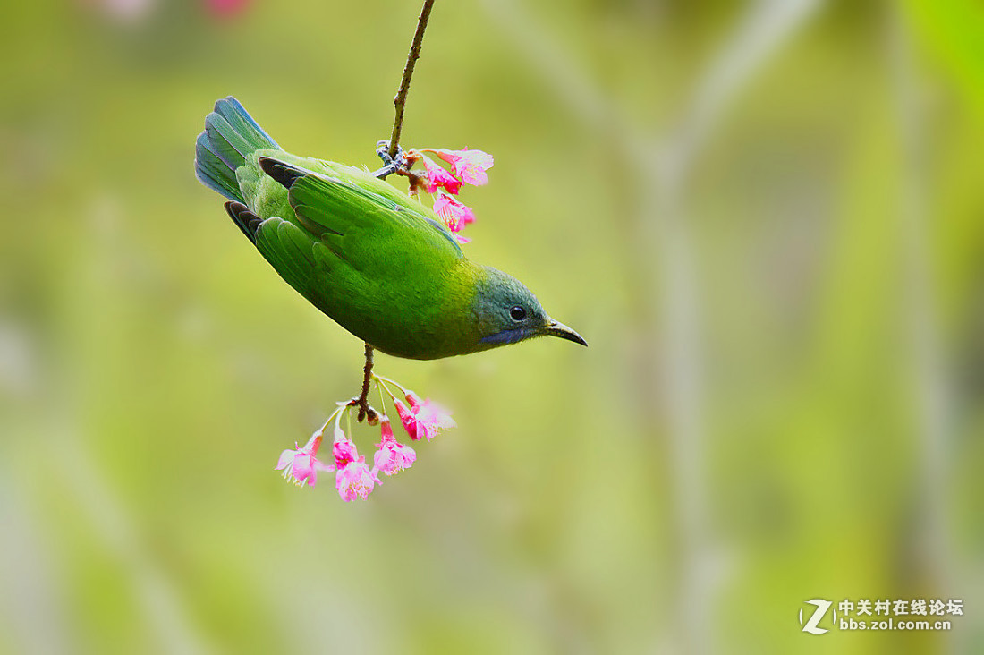 2015年优秀作品精选