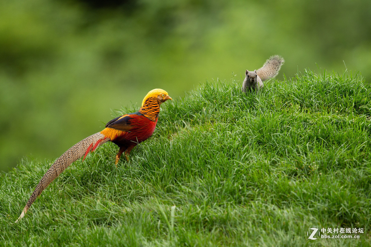 2015年优秀作品精选