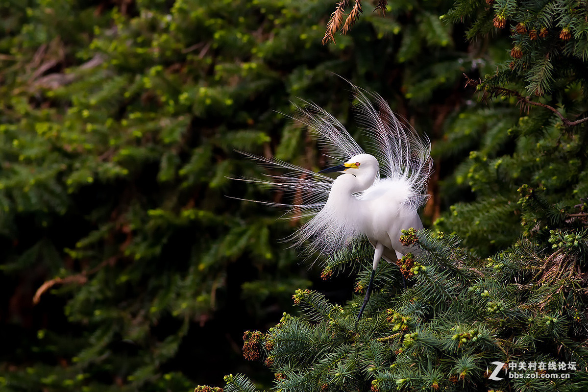 2015年优秀作品精选