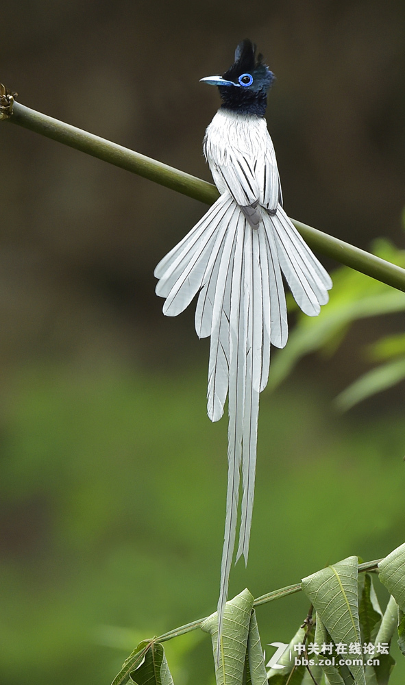 2015年优秀作品精选