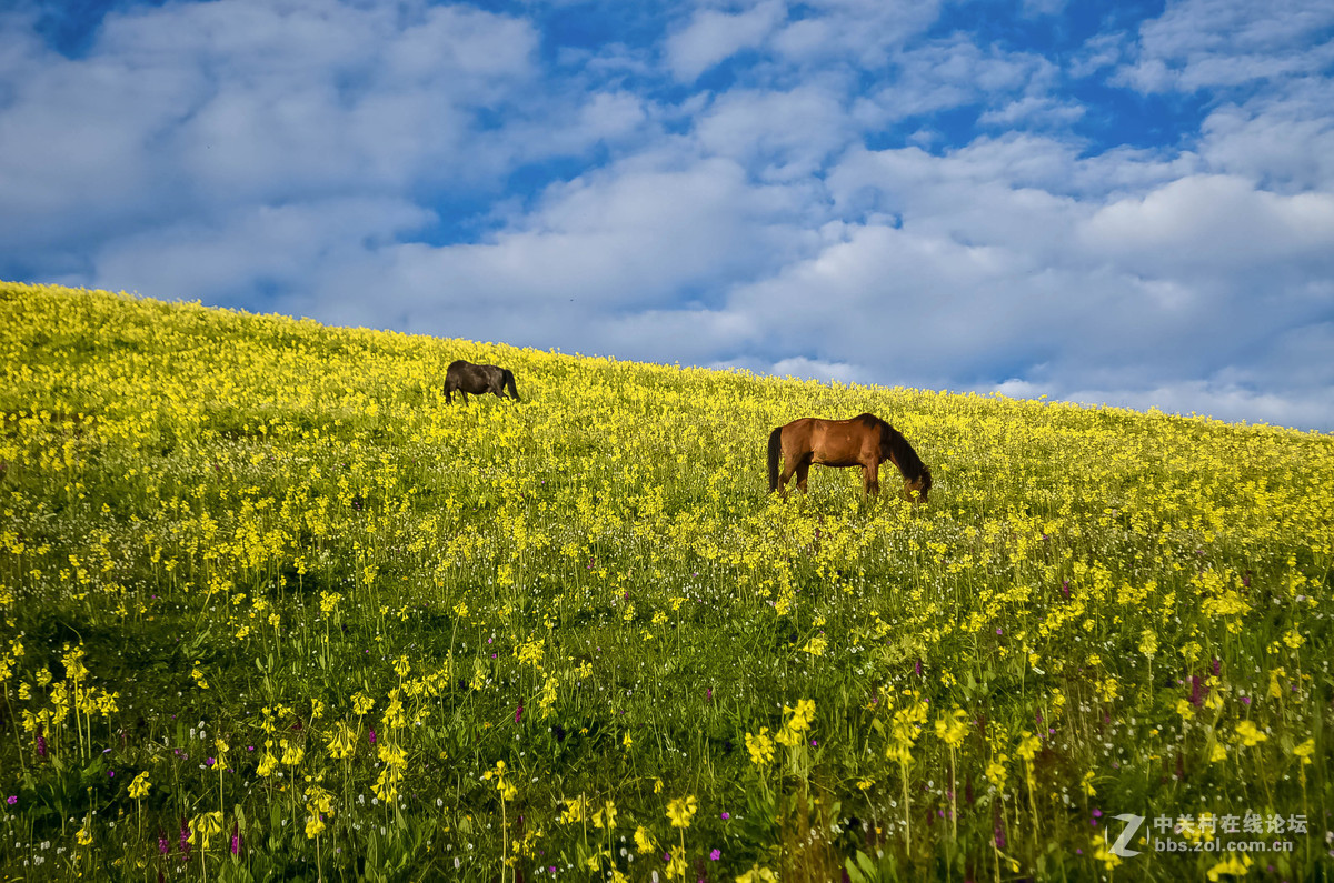 #版主坐堂# 小五星空(中国)十二月精品荟萃