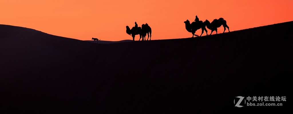 又爱又恨的大沙漠