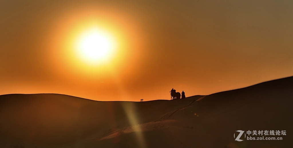 又爱又恨的大沙漠