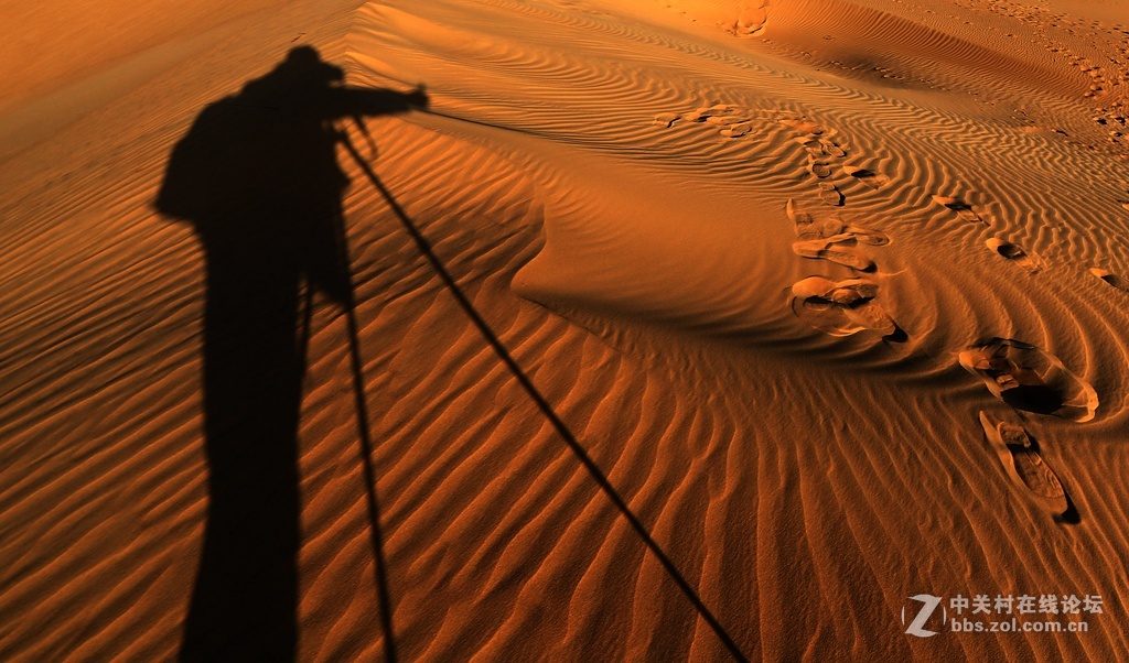 又爱又恨的大沙漠