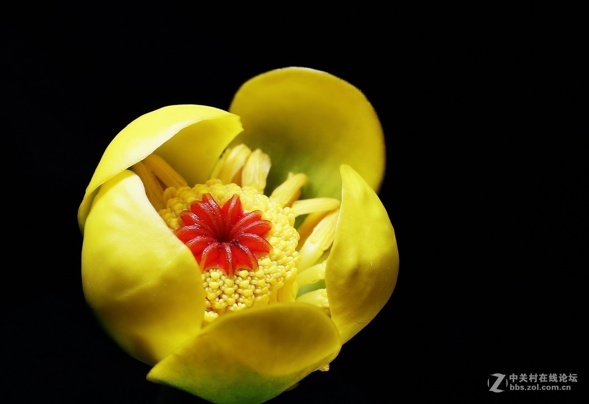 #版主坐堂# 2017年10月份微距星空(中国)优秀作品汇编