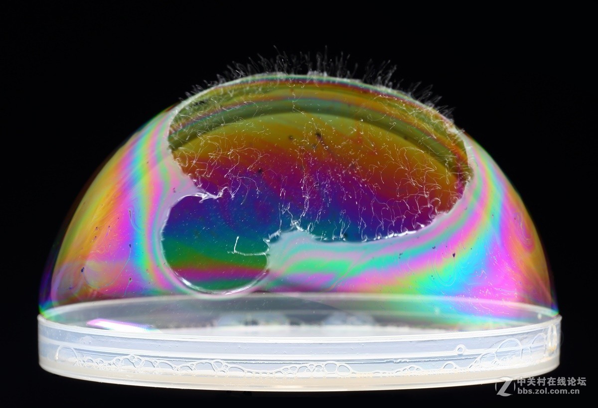 #版主坐堂# 2017年10月份微距星空(中国)优秀作品汇编