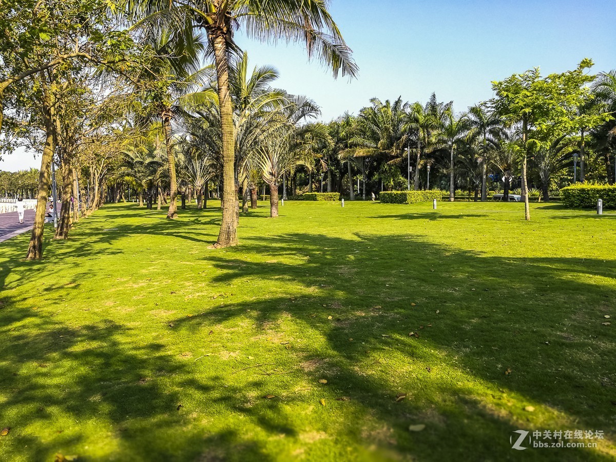 深圳红树湾公园掠影