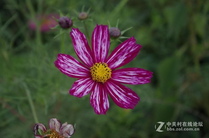 手机与单反比，差距在减小。