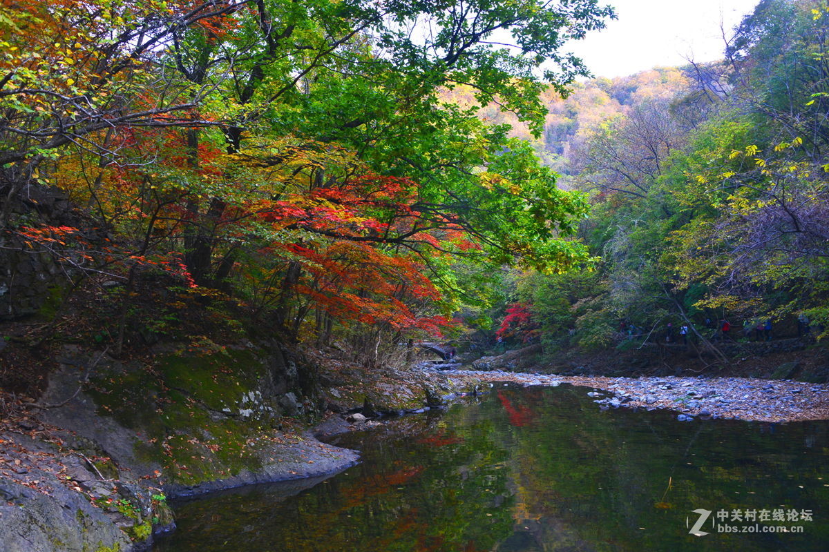 本溪关门山秋景(3)-中关村在线摄影论坛