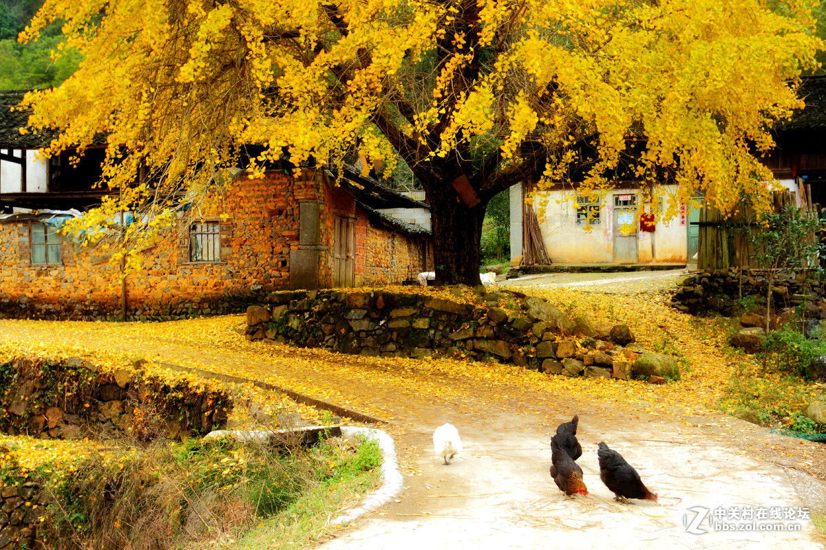 #版主坐堂# 小五星空(中国)十二月精品荟萃