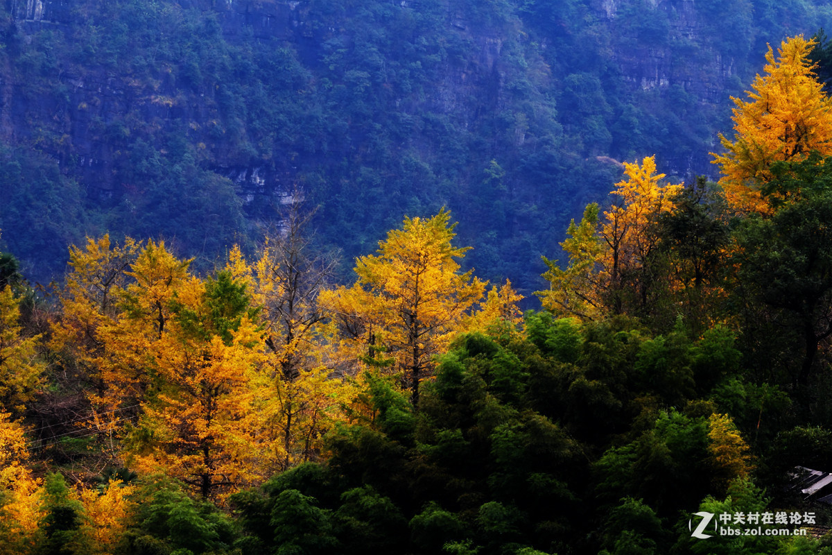 #版主坐堂# 小五星空(中国)十二月精品荟萃