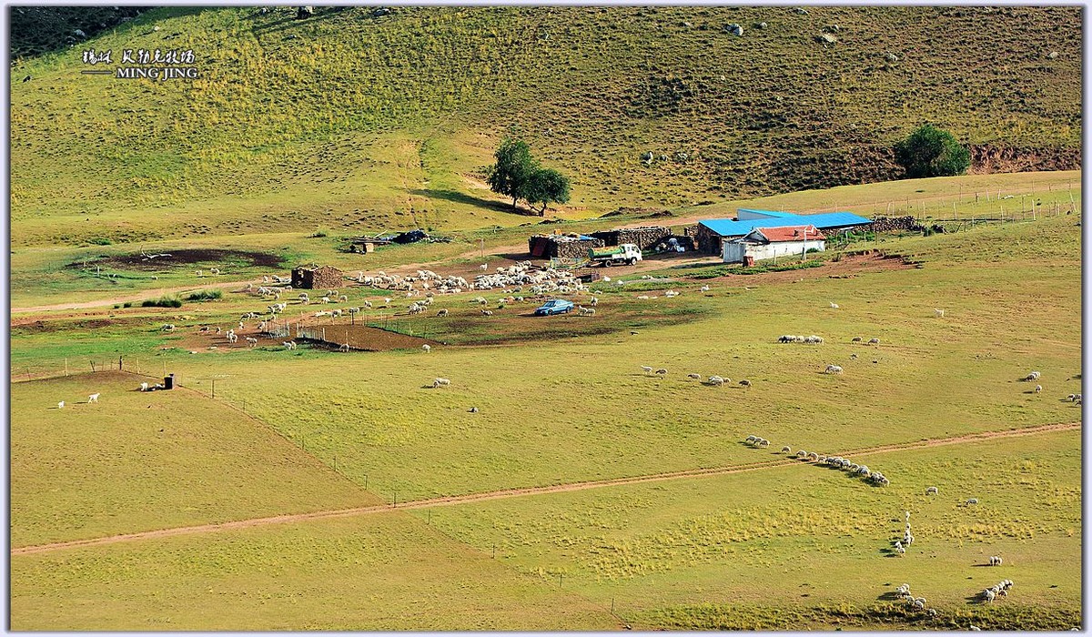 自驾 —— 锡林郭勒。赏 贝勒克牧场 风光！（四、续）