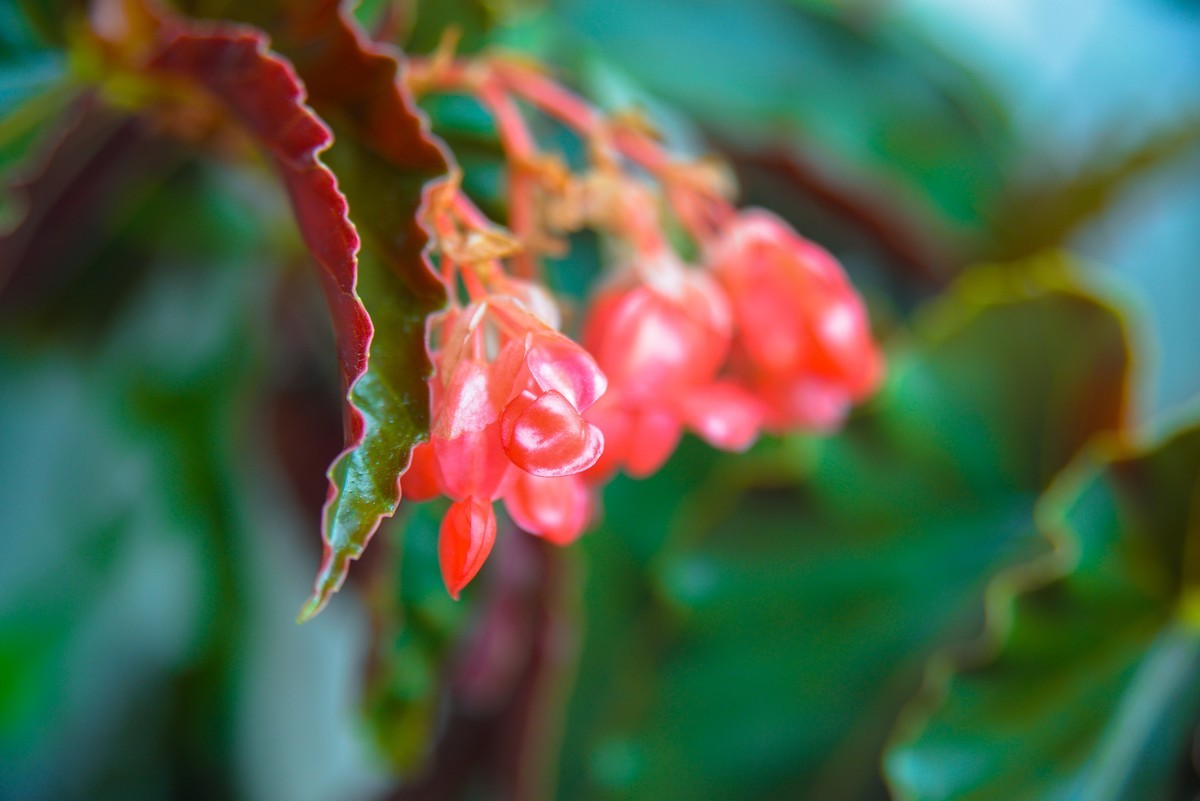 【老镜拾遗】D610+24-85 F2.8-4D