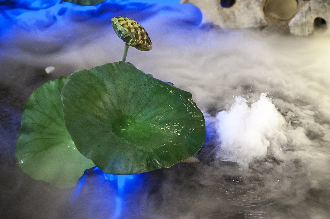 恍然大悟，对相机有了新的认识。