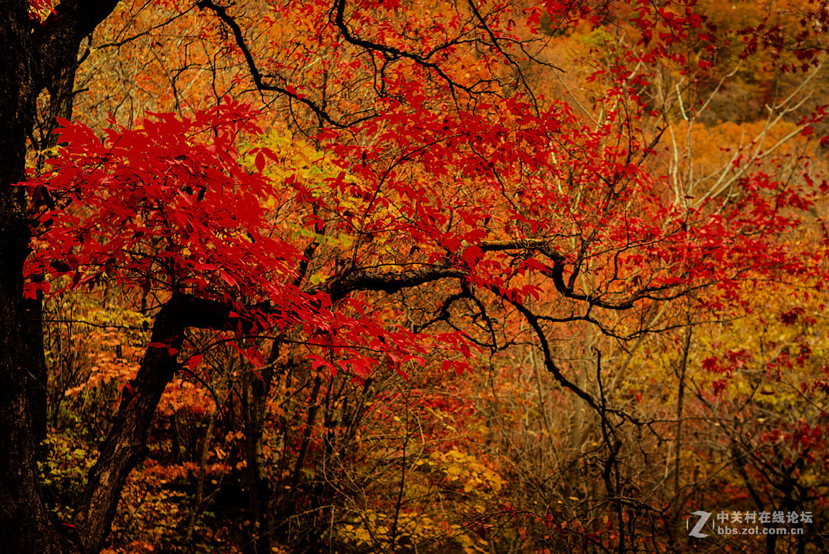 === 暖暖的一个秋 ===