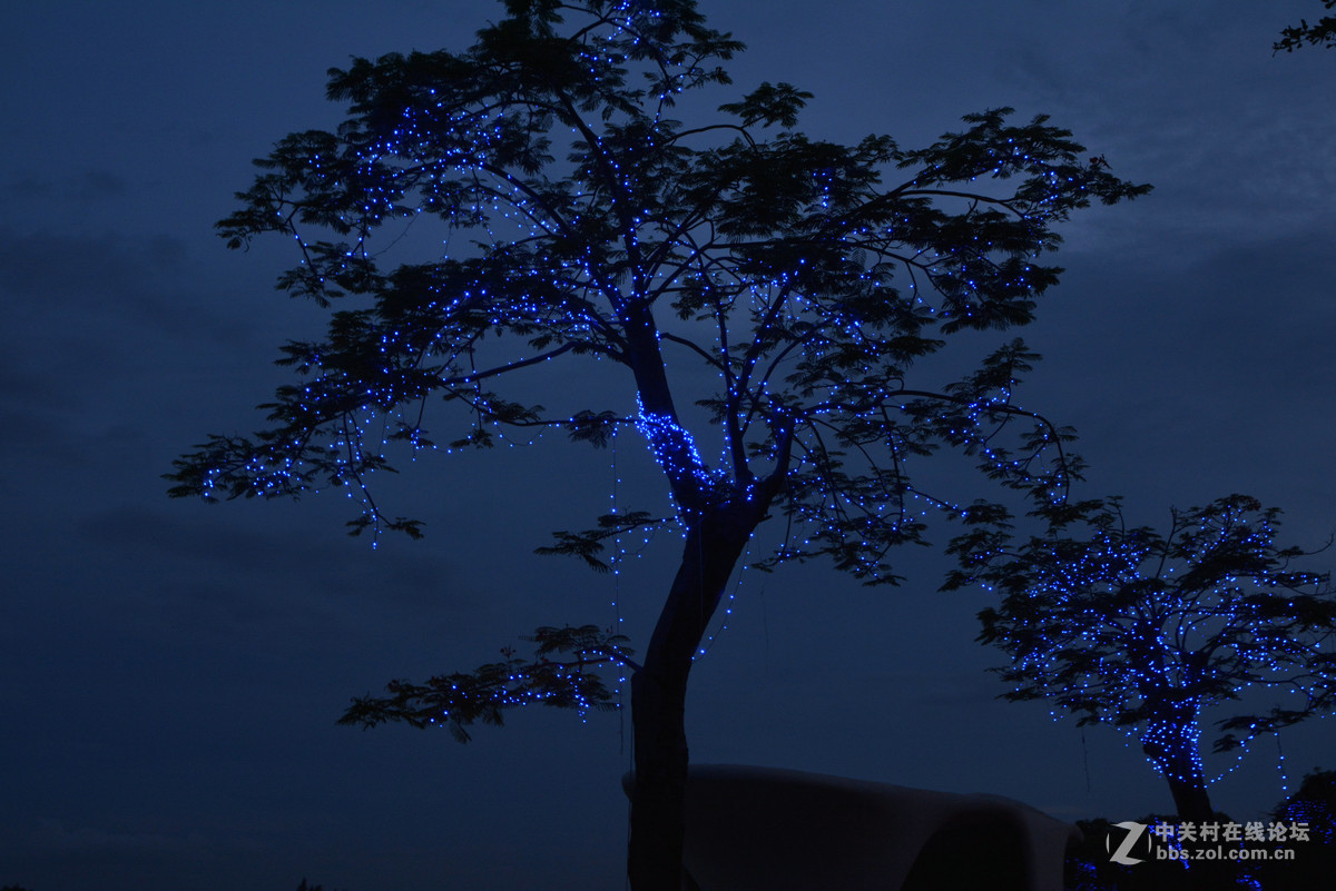 夜暮小景(未上架，就地取材）