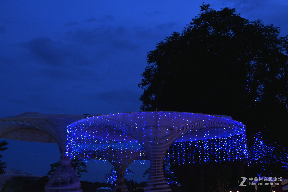 夜暮小景(未上架，就地取材）