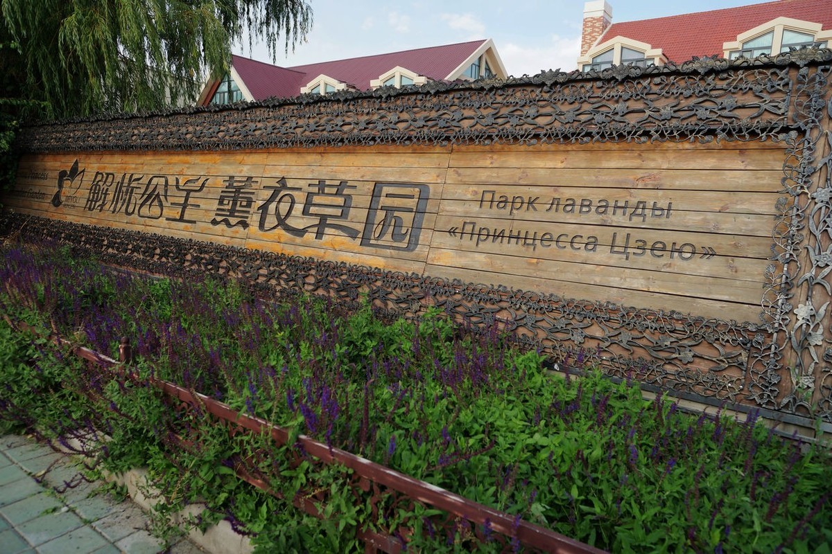 中国薰衣草之乡——解忧公主薰衣草园参观记