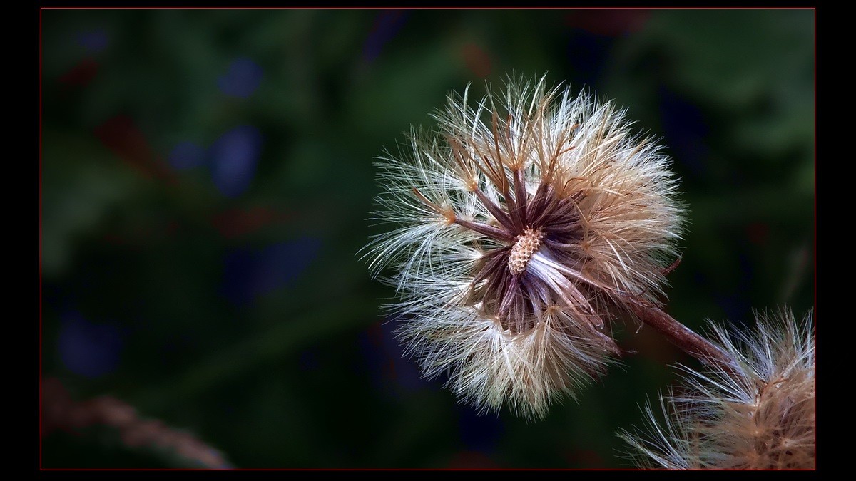 几片《小品》到此滥竽。