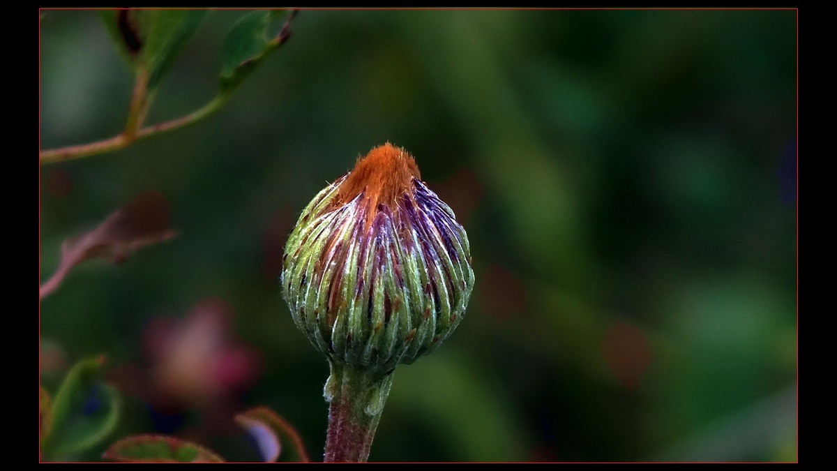 几片《小品》到此滥竽。