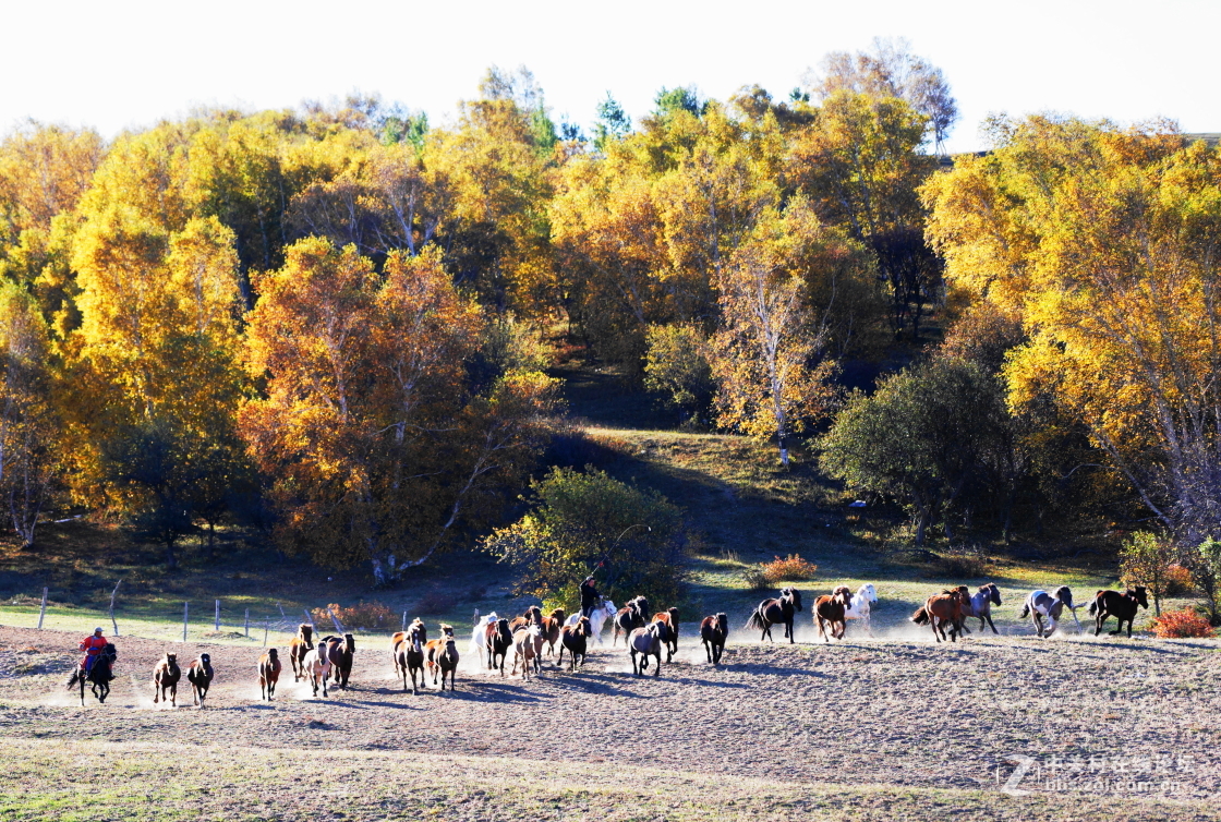 坝上之旅－奔马图