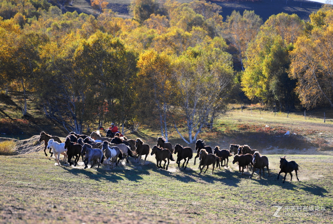 坝上之旅－奔马图