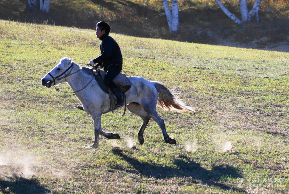坝上之旅－奔马图