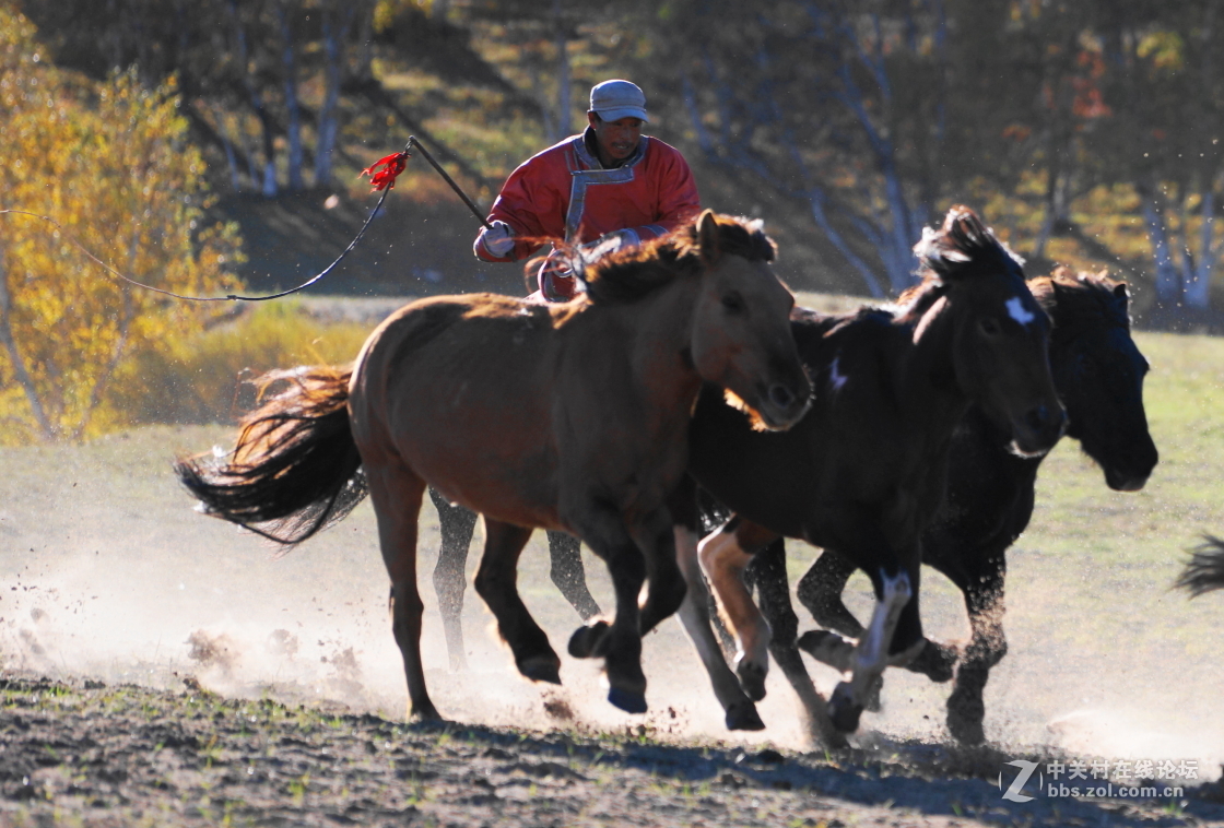 坝上之旅－奔马图